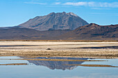 Ubinas volcano reflected in a pool at salt flats, Salinas y Aguada Blanca National Reserve, Arequipa Province, Arequipa Region, Peru, South America