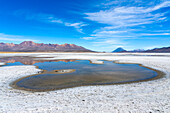 Reflexionsbecken auf einer Salzwiese und Fernsicht auf die Vulkane Pichu Pichu, El Misti und Chachani, Nationalreservat Salinas y Aguada Blanca, Provinz Arequipa, Region Arequipa, Peru, Südamerika