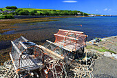 Lobster pots, St. Margaret's Hope, Mainland, Orkney Islands, United Kingdom, Europe