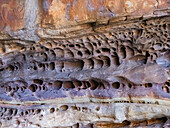 Examples of Tafoni created in the Warton Sandstone layer, King George River, Kimberley, Western Australia, Australia, Pacific