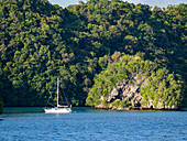 A sailboat anchored in the thick foliage and undercut islets, Palau, Micronesia, Pacific