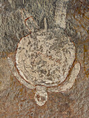 Wandjina art form of various animals on King Leopold Sandstone, Swift Bay, Kimberley, Western Australia, Australia, Pacific