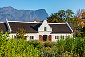 La Motte Wine Estate, Franschhoek Valley, Franschhoek, Westkap-Provinz, Südafrika, Afrika