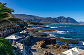 Restaurant, Walker Bay, Hermanus, Western Cape Province, South Africa, Africa