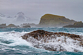 Heavy surf at Cape Rosa in King Haakon Bay, South Georgia Island, Polar Regions