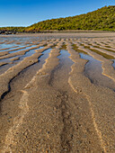 Rills formed in the sandy beach at low tide as found on Bigge Island, Kimberley, Western Australia, Australia, Pacific