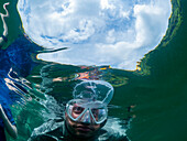 Schnorchler mit Mondqualle (Aurelia sp), im Jellyfish Lake auf der Insel Eil Malk, Rock Islands, Palau, Mikronesien, Pazifik