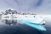 Grounded iceberg near Wiencke Island in the Palmer Archipelago, Antarctica, Southern Ocean, Polar Regions