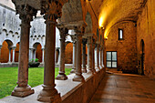 Roman cloister of Sant Pere de Galligants Monastery housing the Archaeological Museum of Catalonia, Girona, Catalonia, Spain, Europe