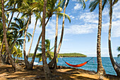 Chemin de la Pointe des Cayes, Ile Royale, Iles du Salut, French Guiana, Overseas department and region of France, French Guiana, South America