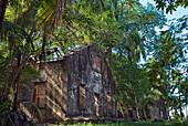 Ruined cells of penal colony on Ile Saint-Joseph, Iles du Salut (Islands of Salvation), French Guiana, Overseas department and region of France, French Guiana, South America