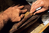 Manufacturing of cigars, La Palma, Canary Islands, Spain, Atlantic Ocean, Europe