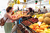 Mercado do Bolhao, Porto, Norte, Portugal, Europa