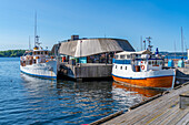 Blick auf Boote am Wasser, Aker Brygge, Oslo, Norwegen, Skandinavien, Europa