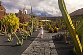 Ein Tourist im Kakteengarten, Guatiza, Lanzarote, Kanarische Inseln, Spanien, Atlantik, Europa