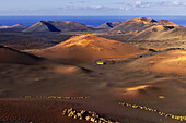 Ein Bus inmitten des Timanfaya Nationalparks, Yaiza, Tinajo, Las Palmas, Lanzarote, Kanarische Inseln, Spanien, Atlantik, Europa