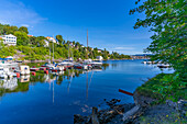 View of boats moored up at Langviksbukta, Bygdoynesveien, Oslo, Norway, Scandinavia, Europe