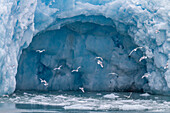 Ansichten des Monacobreen (Monacogletscher), in Haakon VII Land auf der Insel Spitzbergen in Svalbard, Norwegen, Arktis, Europa