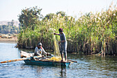 Net fishermen in rowing boat, village of Ramadi, west bank of the Nile south of Edfu, Egypt, North Africa, Africa