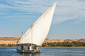 Dahabeah under sail, passenger river boat of the Lazuli fleet, sailing on the Nile river near Aswan, Egypt, North Africa, Africa