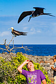 Great frigatebird (Fregata minor) in flight near guests on North Seymour Island in the Galapagos Islands, UNESCO World Heritage Site, Ecuador, South America