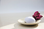 Close up of a lavender soap and dark red flower on a soap dish