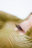 Extreme close up of a woman with green facial mask