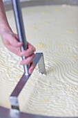 Close up of a man's hand cutting the curd