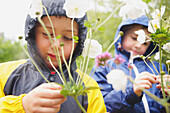 Two Boys Wearing Hooded Raincoats Examining Flower Plant