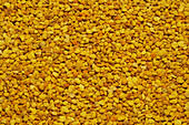 Close up full frame golden yellow bee pollen granules