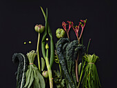 Dramatic flat lay still life green vegetable arrangement on black background