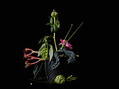 Still life dramatic vegetable and flower arrangement on black background