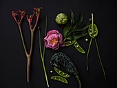 Flat lay still life plants, flower and vegetables on dark background