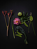 Dramatic flat lay still life peony and green vegetables on black background