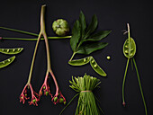 Flat lay still life green vegetables on black background