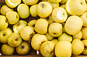 Fresh yellow apples in abundance