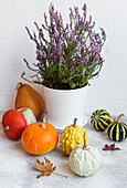 Creative autumn fall thanksgiving day composition with decorativ