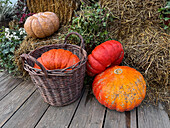 Autumn festival scene with colorful pumpkins and hay bales