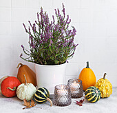 Creative autumn fall thanksgiving day composition with decorativ