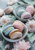Beautiful colourful delicious macaroons on a concrete background