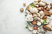 Assortment of various raw mushrooms on a grey concrete background