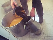 Traditional production of Mallorcan palo liqueur
