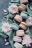 Beautiful, colourful and delicious macaroons on a concrete background