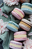 Beautiful colourful delicious macaroons on a concrete background