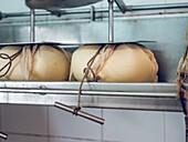 Mahon-Menorca cheese aging in a factory setting