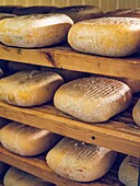 Stacked traditional Mahon Menorca cheeses on wooden shelves