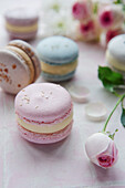 Beautiful colourful delicious macaroons on a pink tiled background