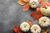 Autumn leaves and pumpkins on a grey concrete background