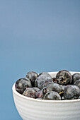 Close-up of fresh blueberries in a white bowl against a blue background
