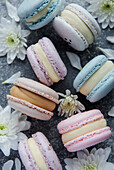 Beautiful colourful delicious macaroons on a concrete background